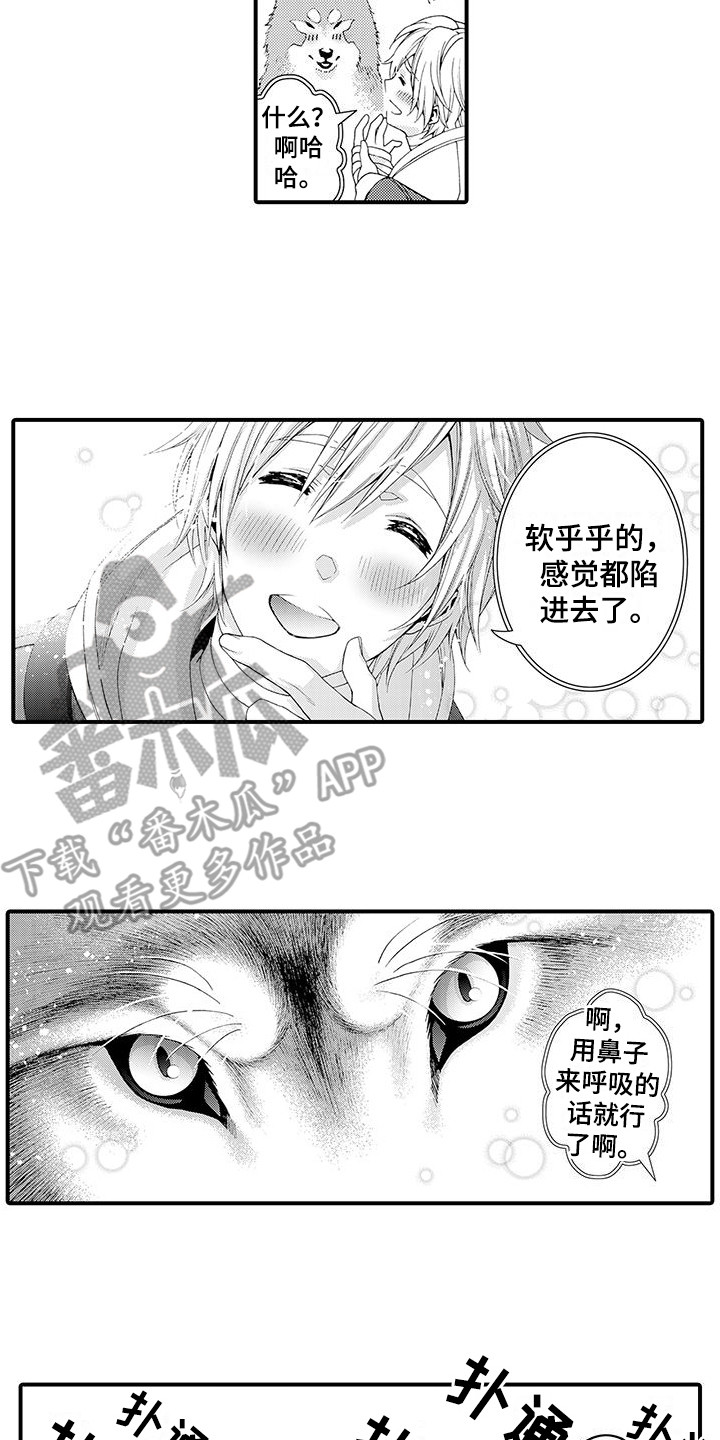第17章：太诚实了 1
