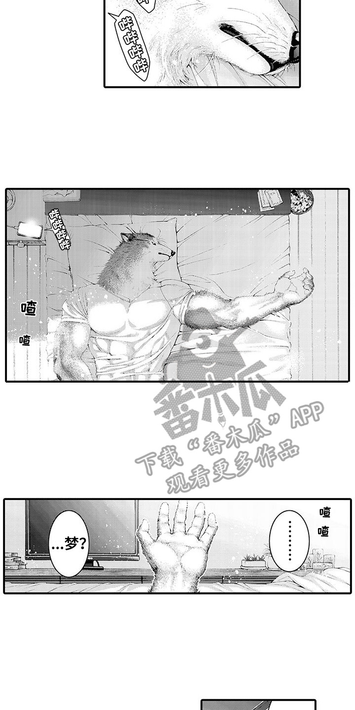 第31章：不是梦（完结）9