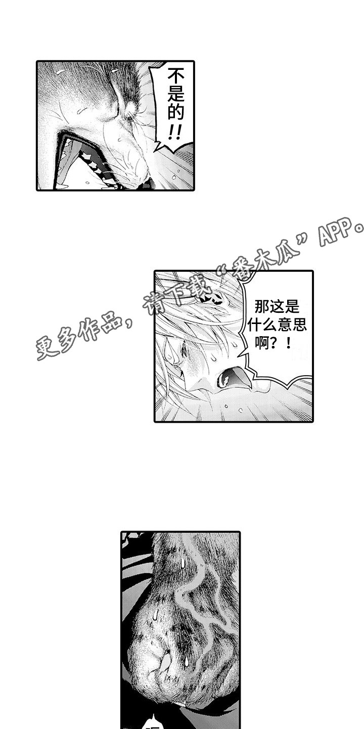 第29章：解释7