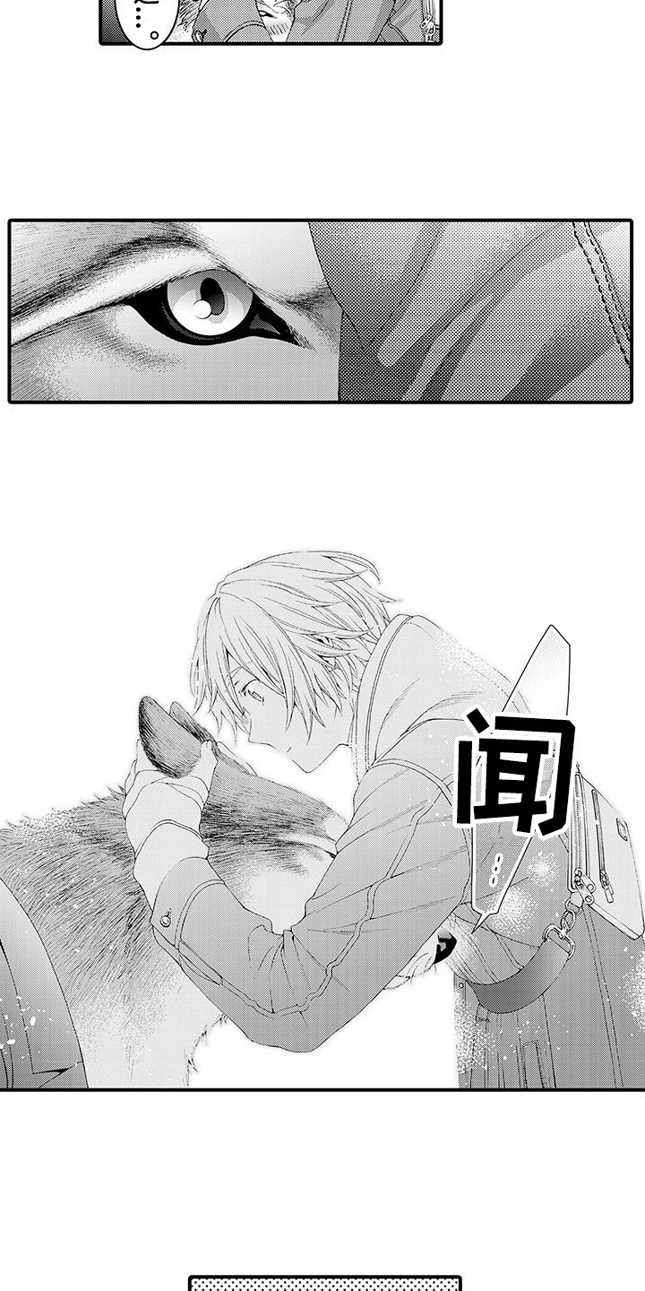 第16章：很柔软  8