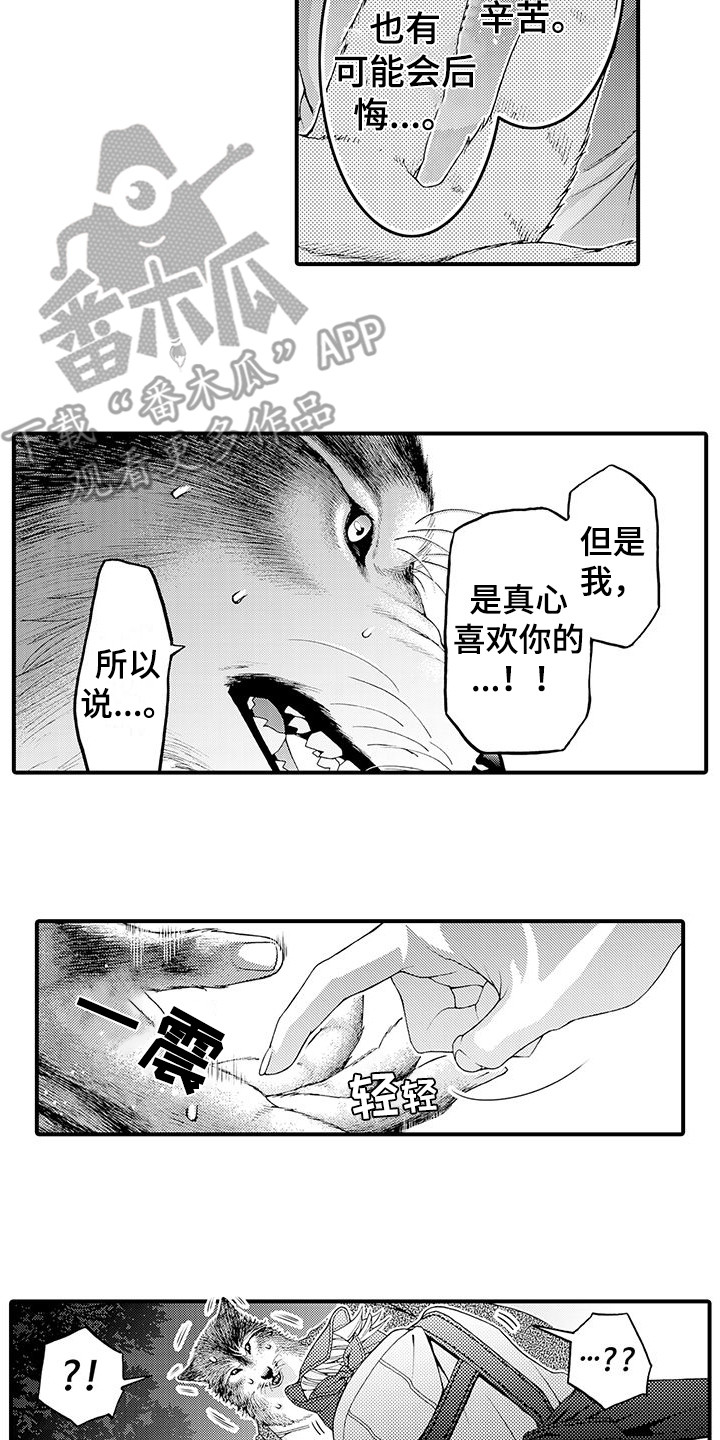 第11章：表白9