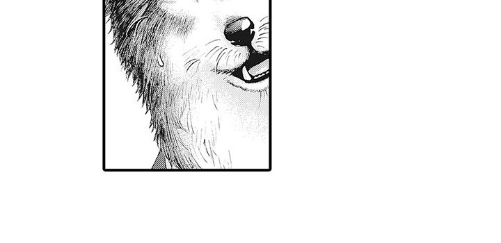 第1章：兽人12