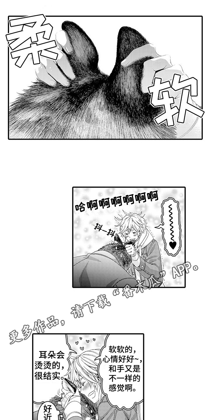 第16章：很柔软  7