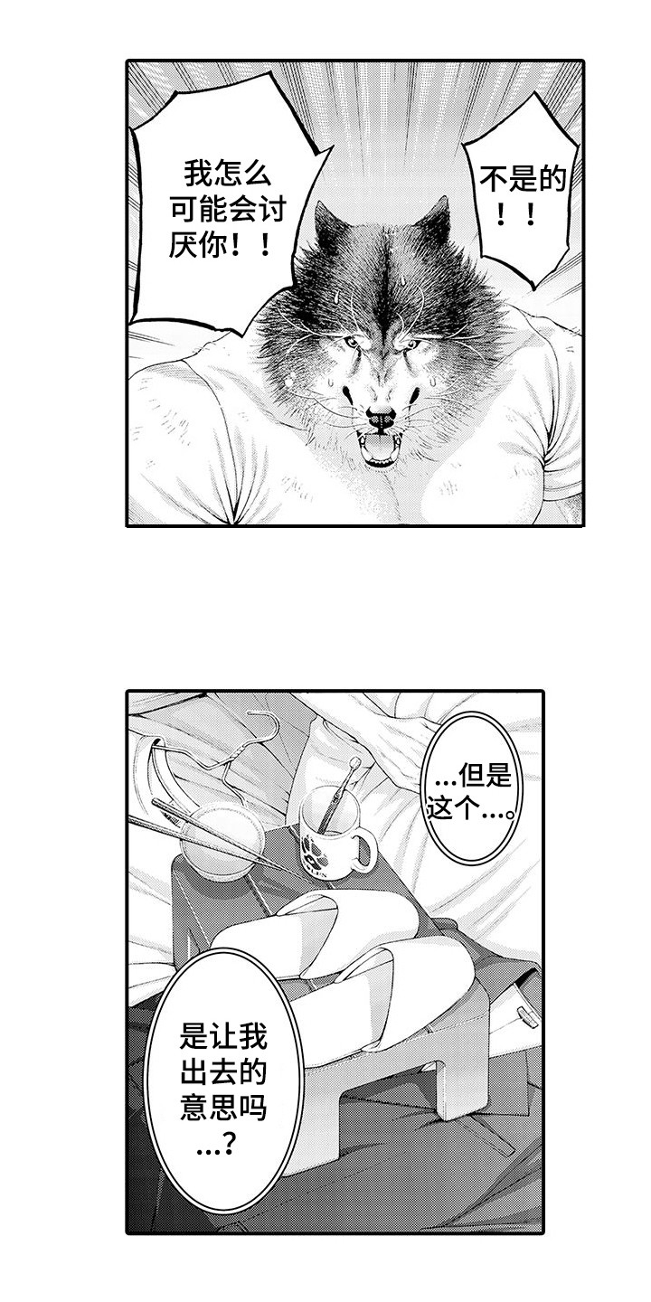 第29章：解释6