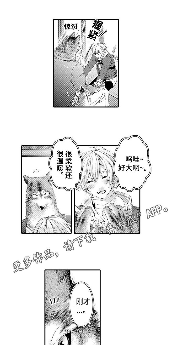 第16章：很柔软  3