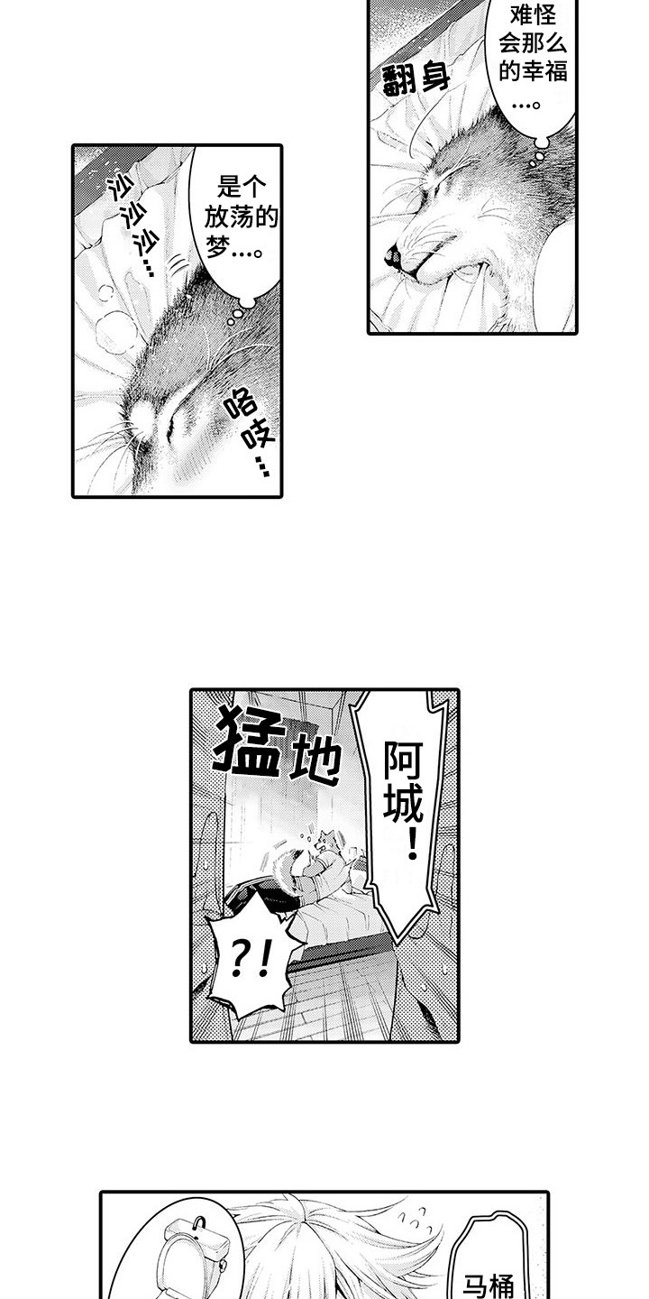 第31章：不是梦（完结）10