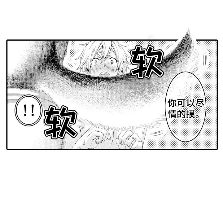 第19章：一起洗12