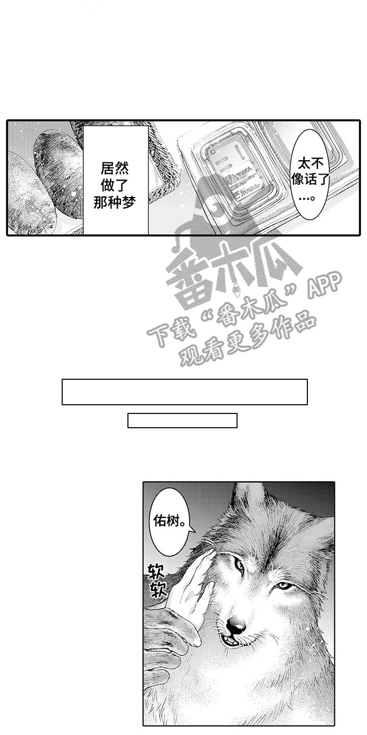 第6章：幻想9