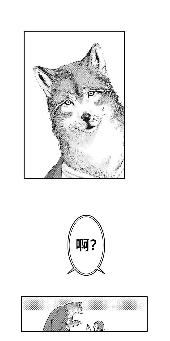 第2章：比比划划11