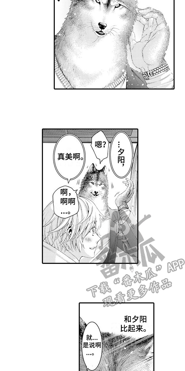 第15章：传达心意5