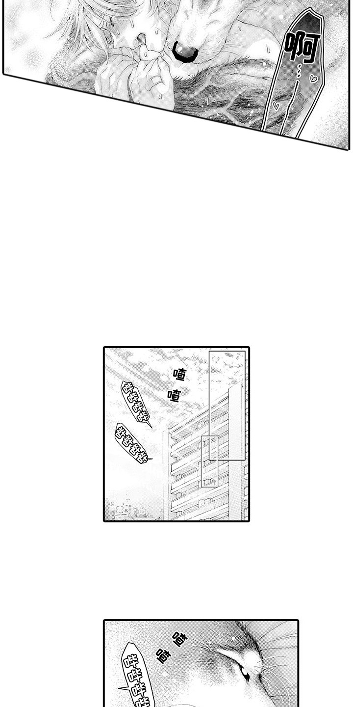 第31章：不是梦（完结）8