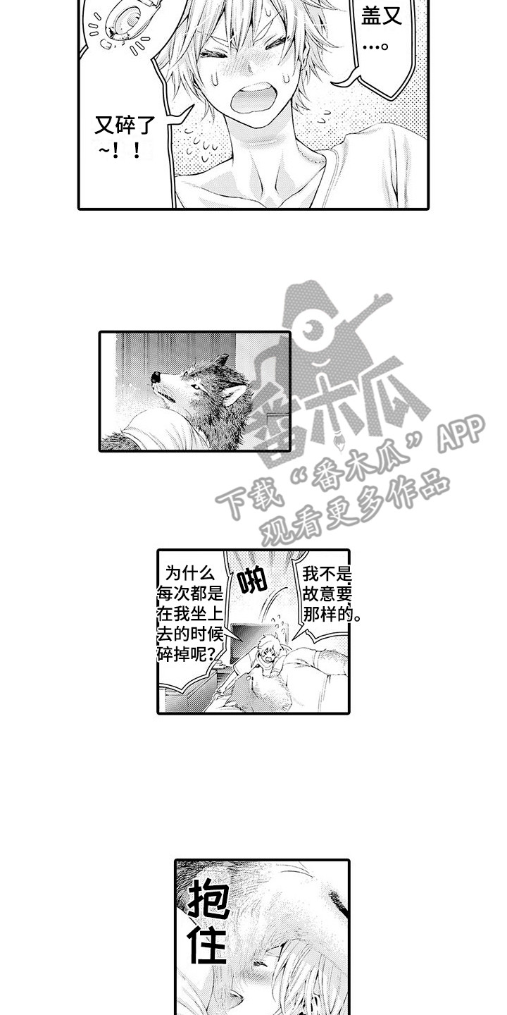 第31章：不是梦（完结）11