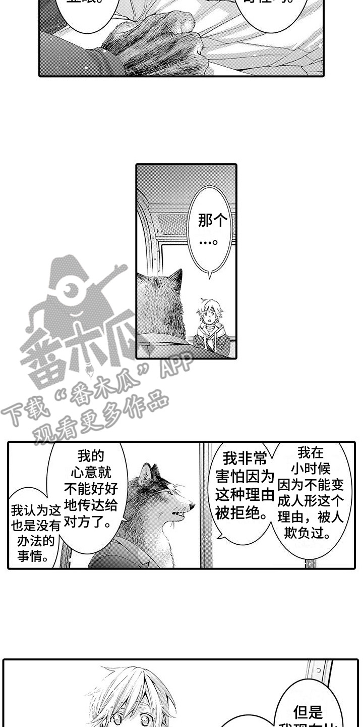 第15章：传达心意11