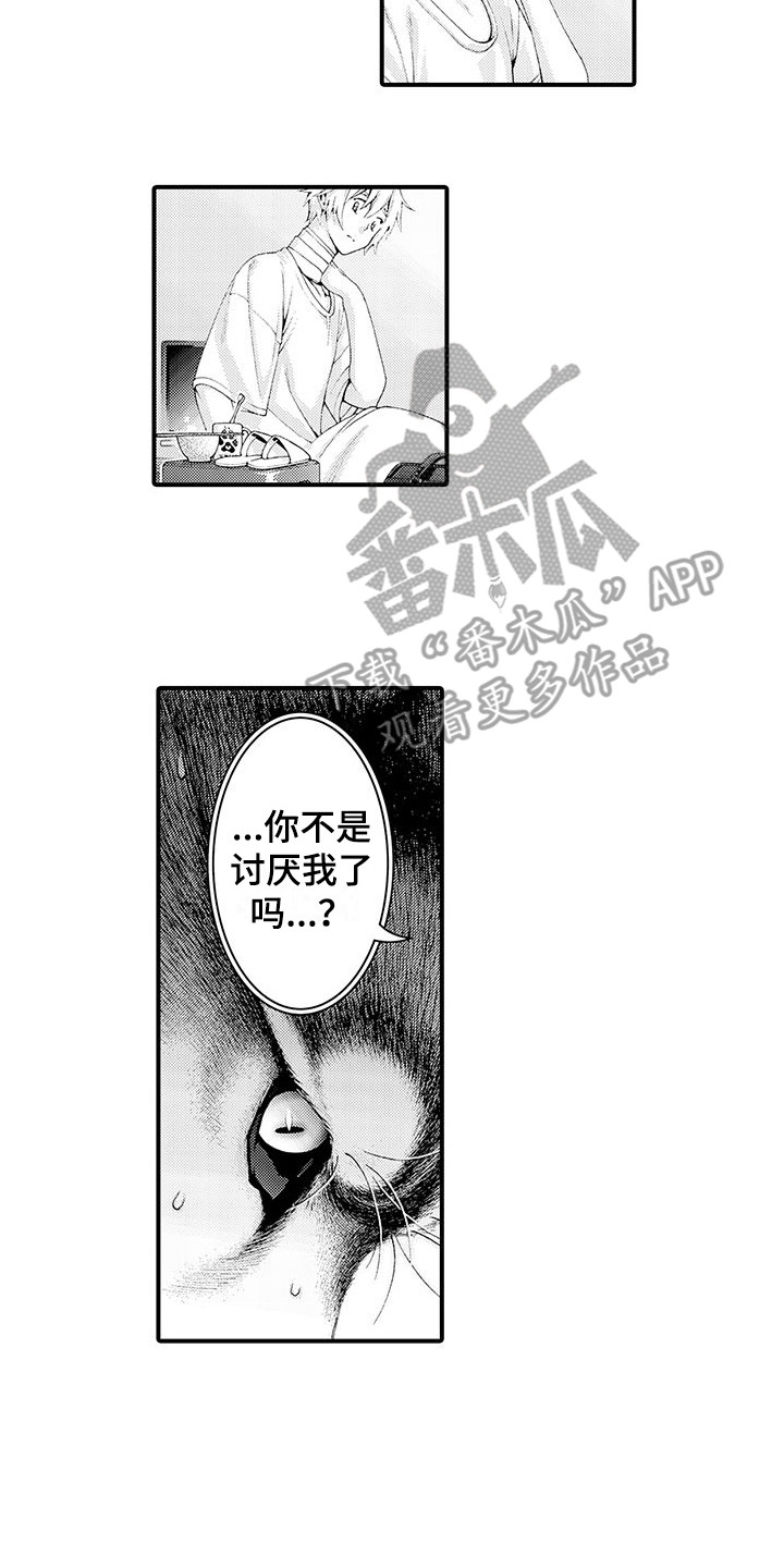 第29章：解释5