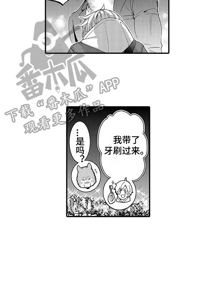 第17章：太诚实了 11