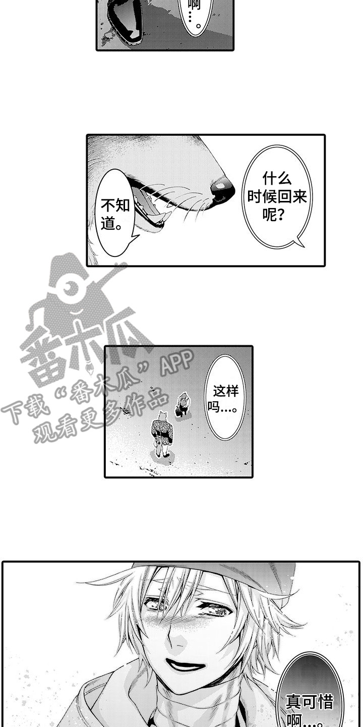 第11章：表白5