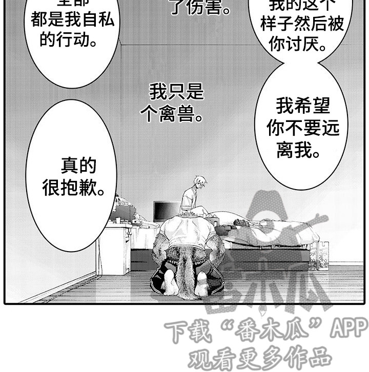 第29章：解释13