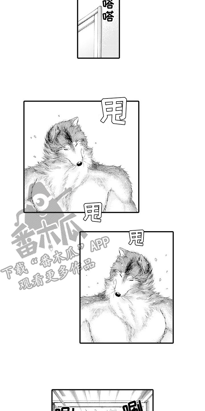 第21章：变得喜欢5