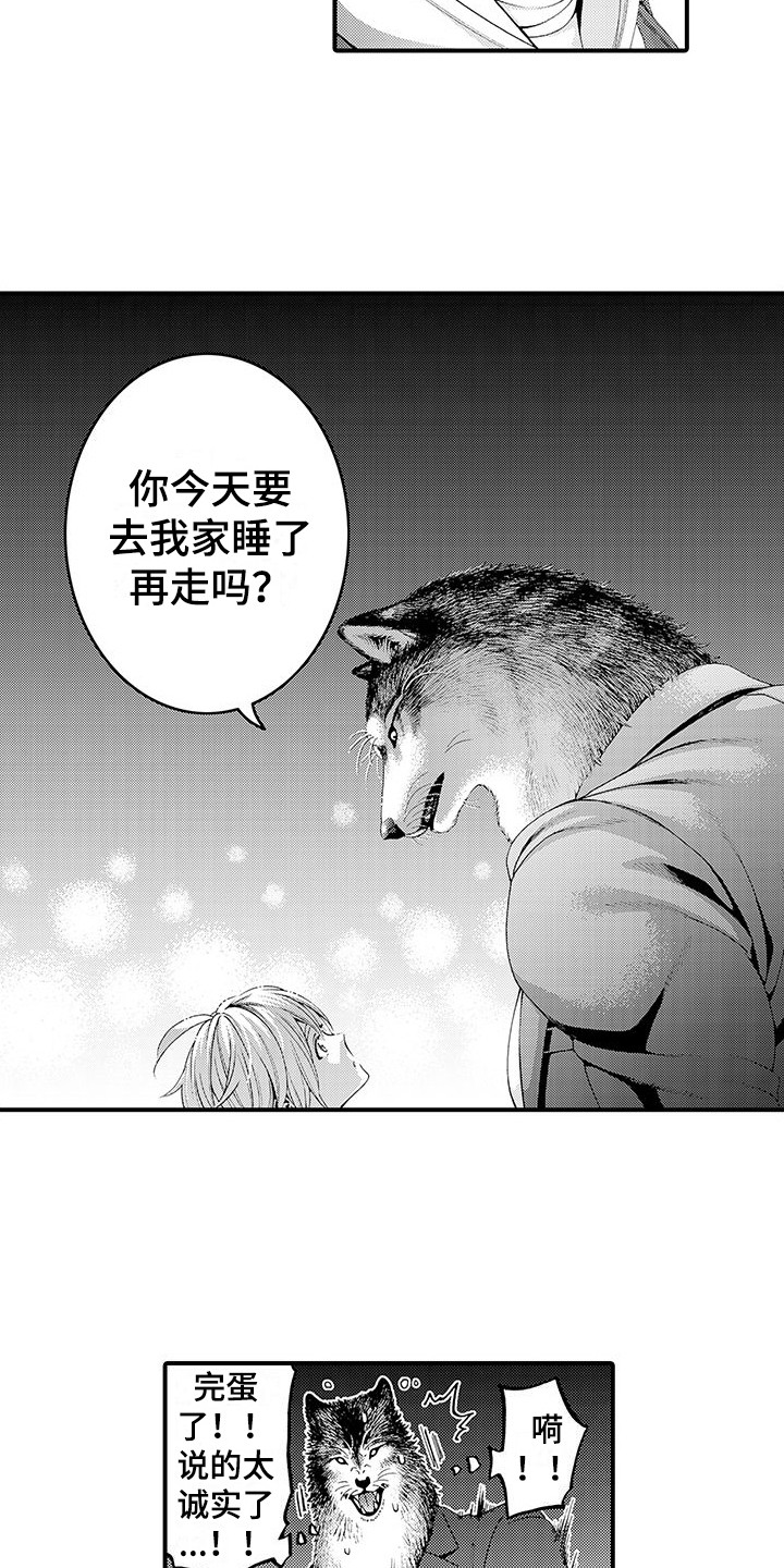 第17章：太诚实了 10