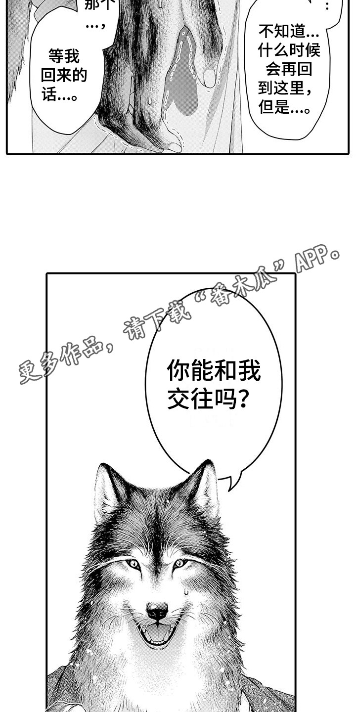 第11章：表白7