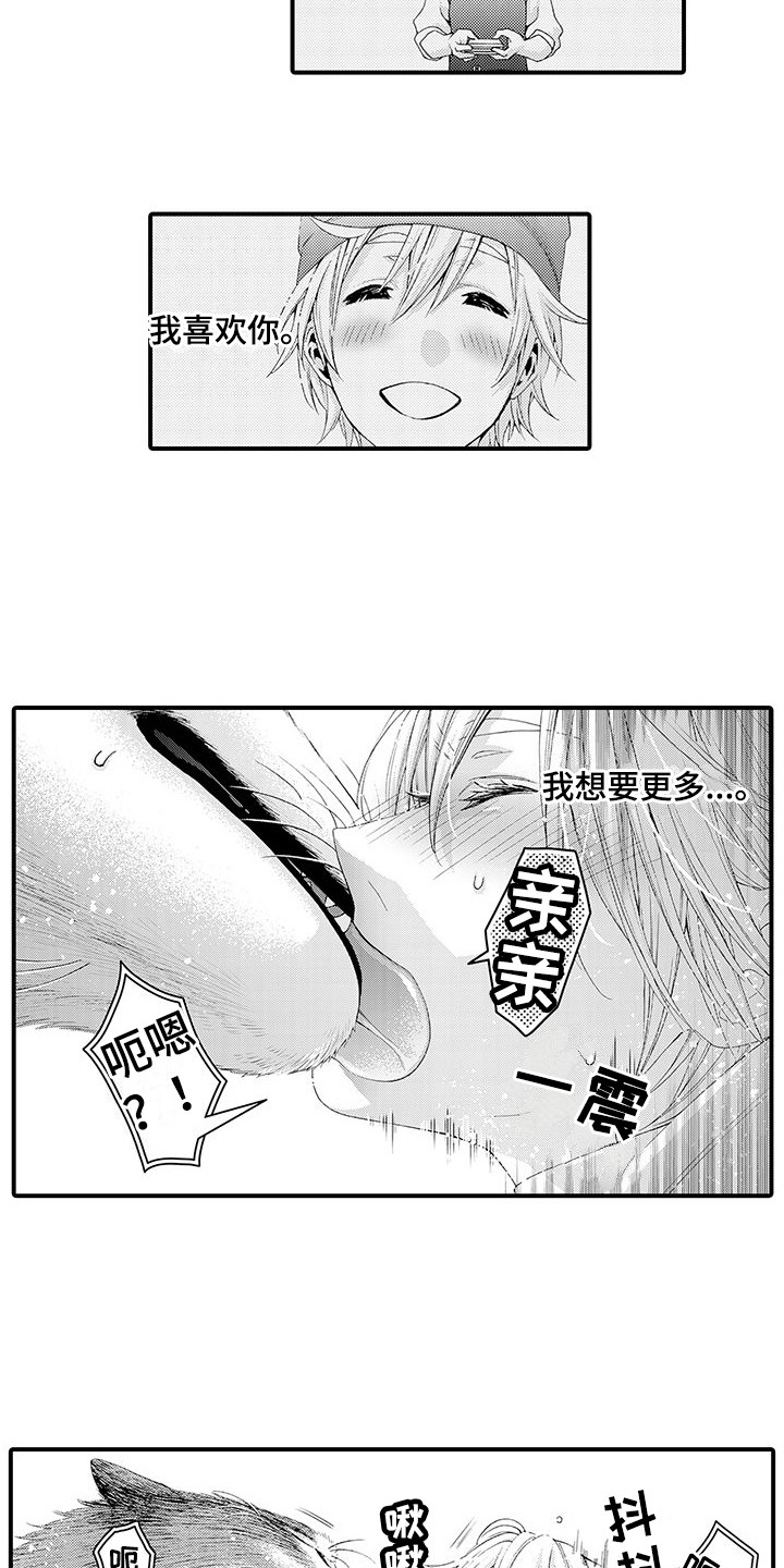 第17章：太诚实了 4