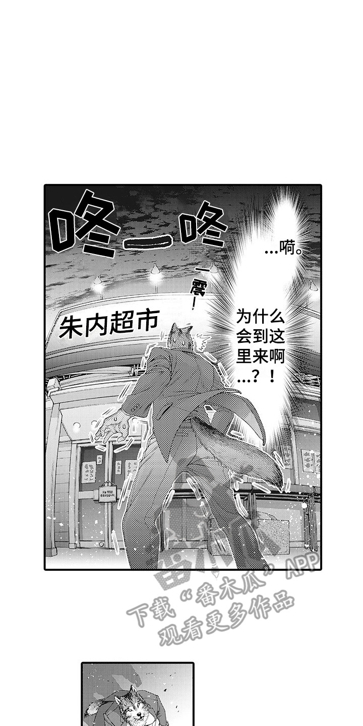 第4章：巧遇5