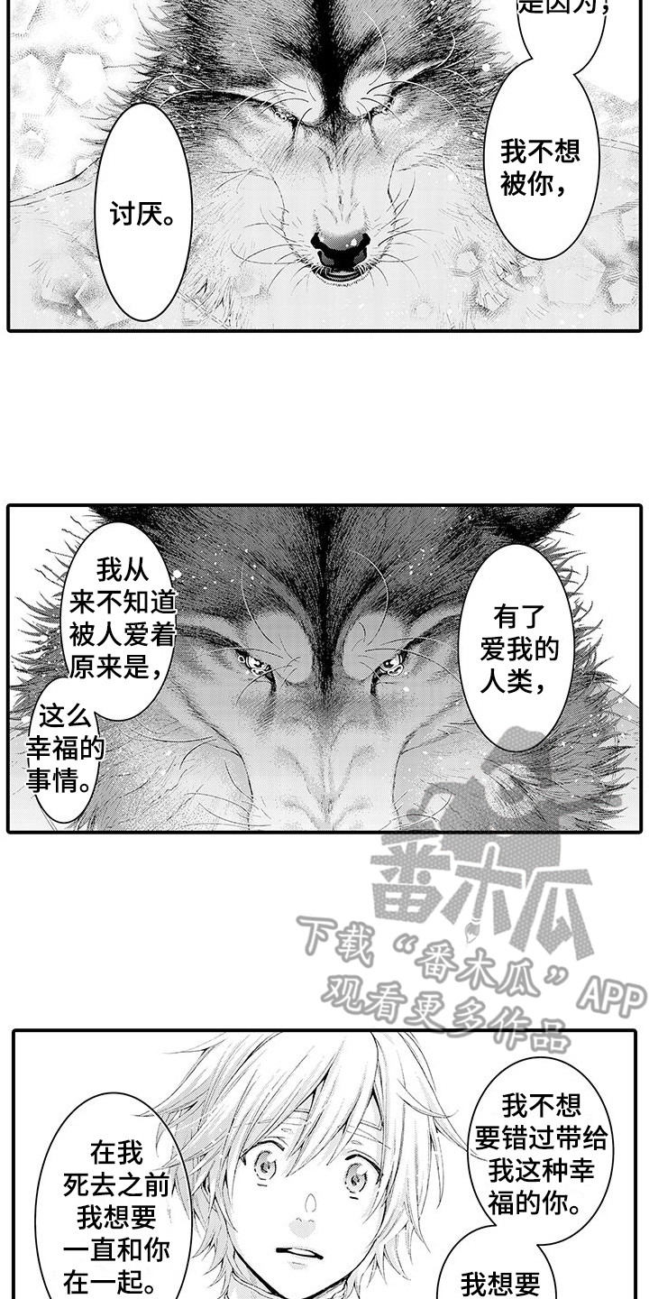 第29章：解释11
