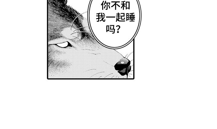 第21章：变得喜欢12