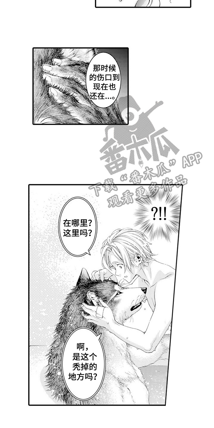 第20章：很温暖11