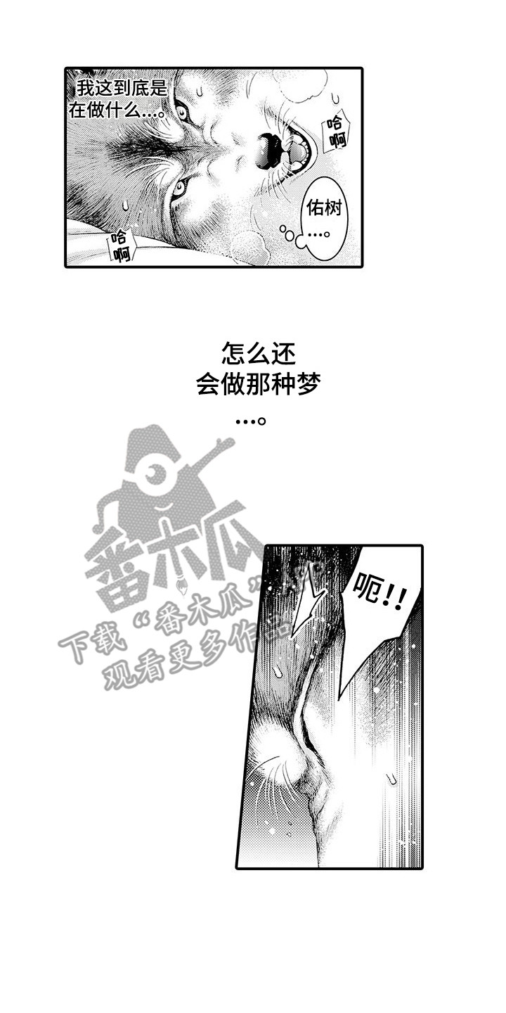 第6章：幻想11