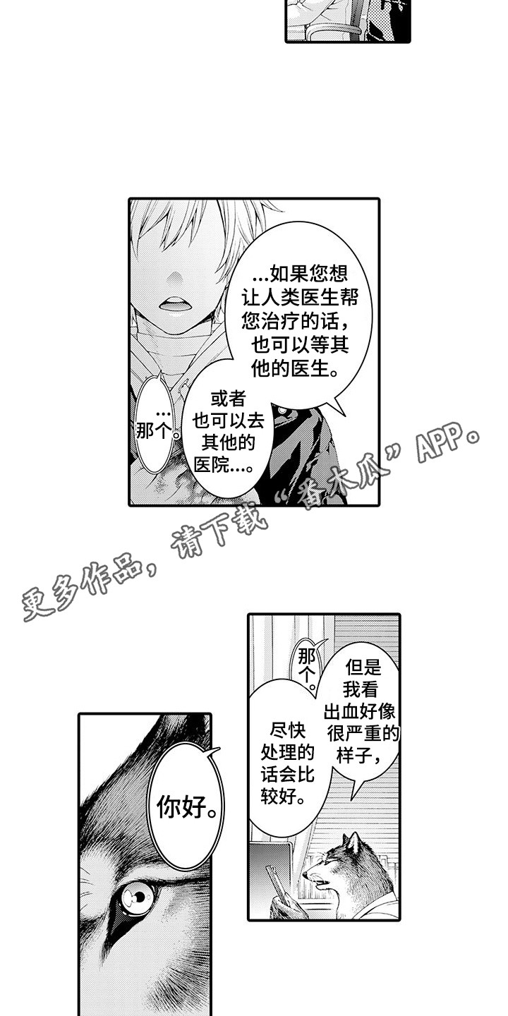 第8章：处理伤口3