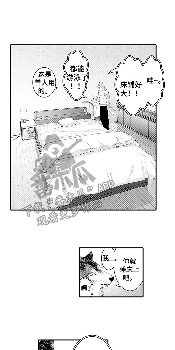 第21章：变得喜欢11