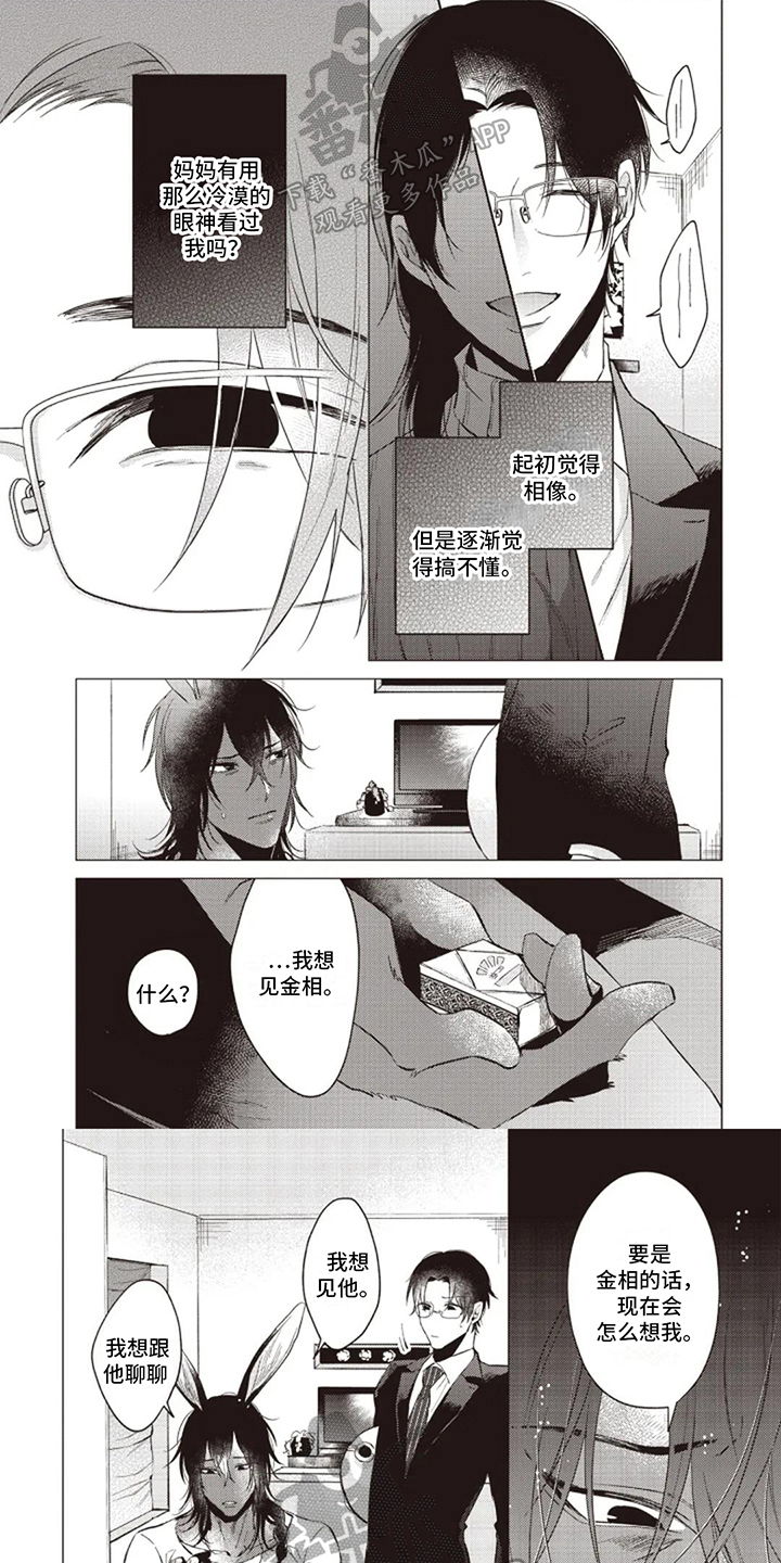 第14章：迷茫0