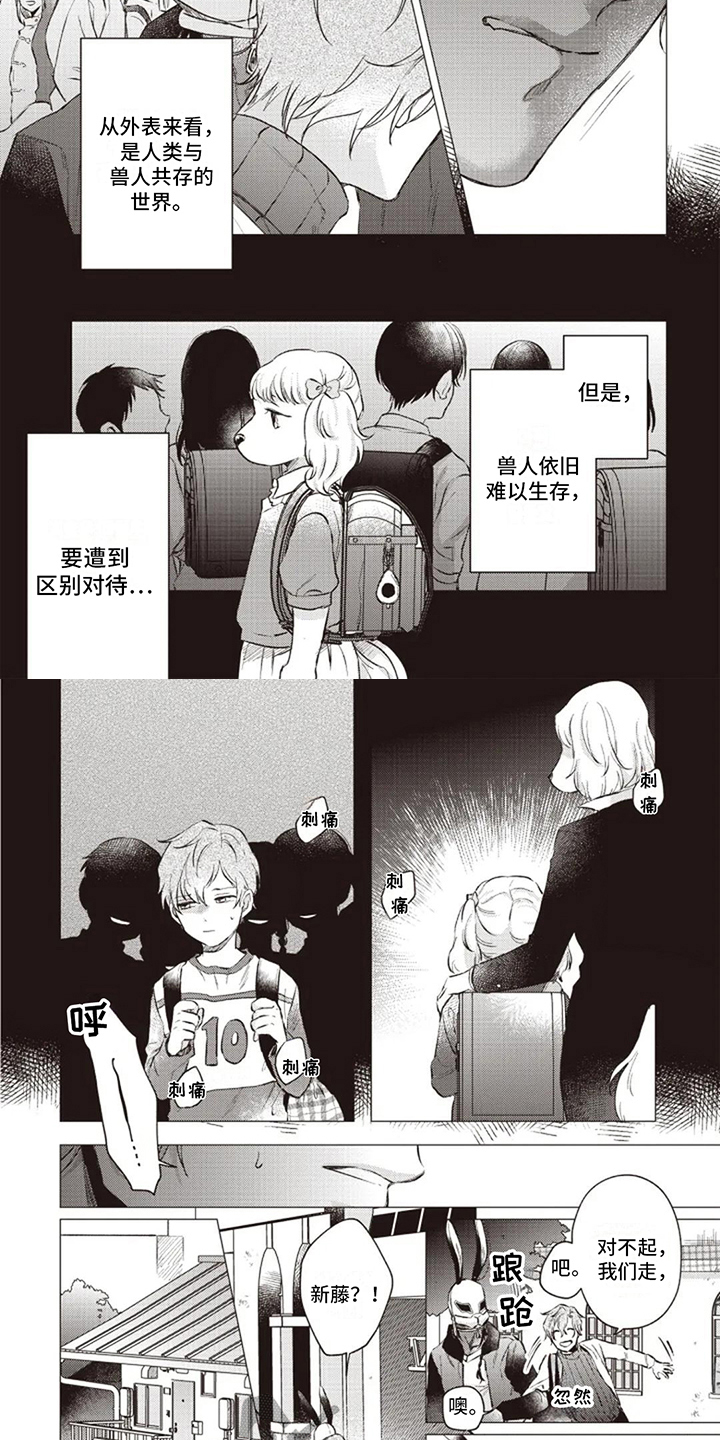 第7章：区别对待5