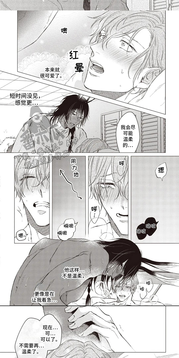 第21章：想法4