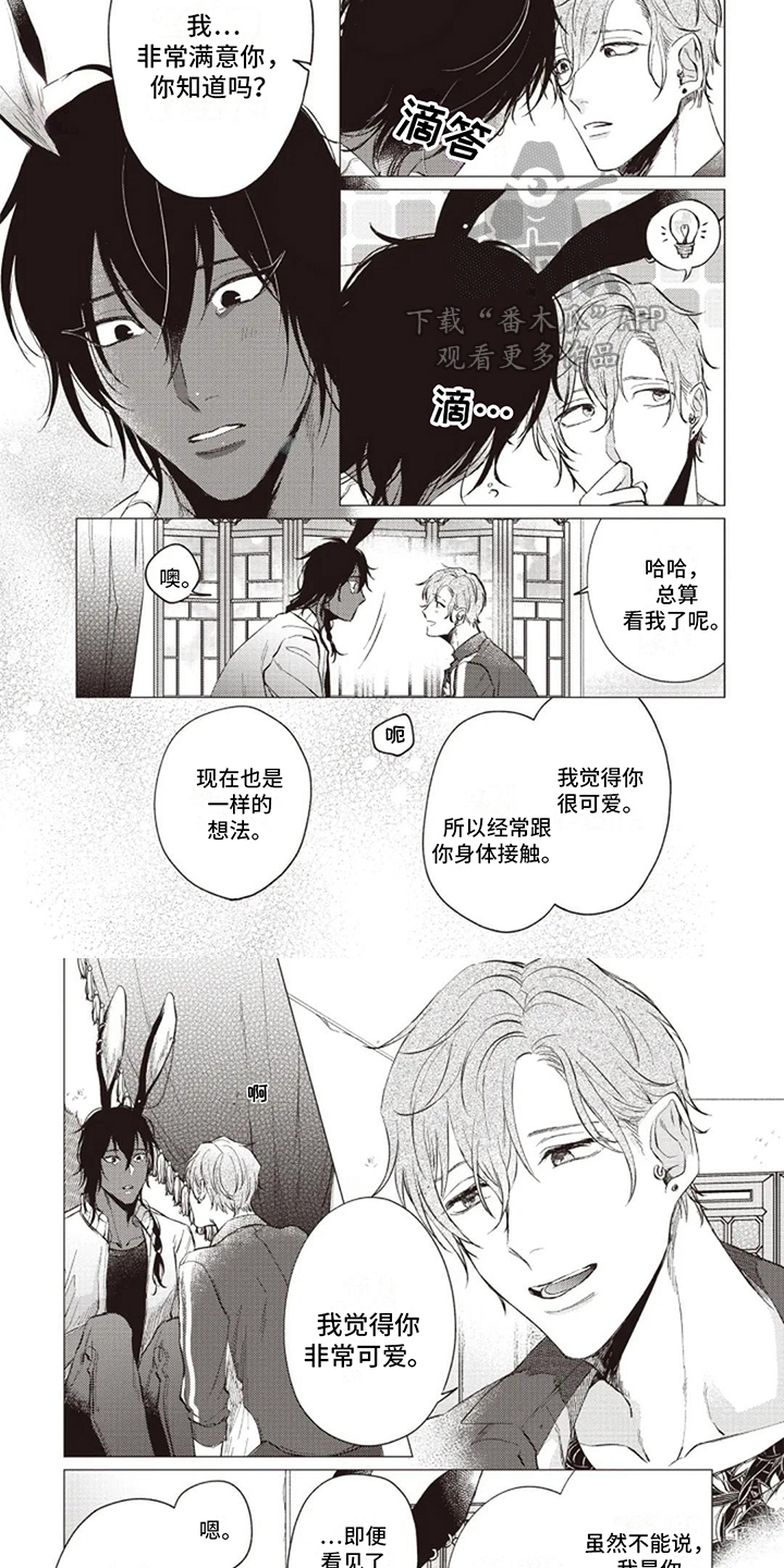 第5章：可爱3