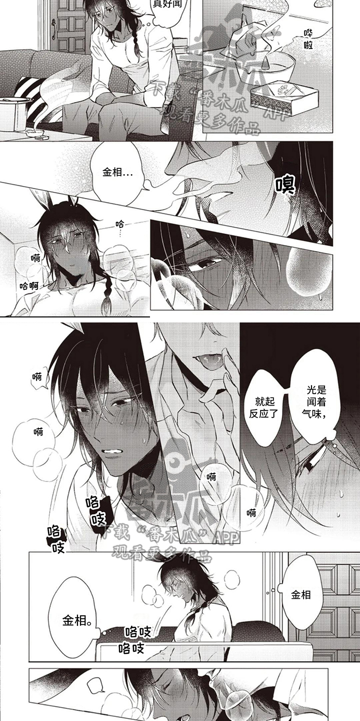 第14章：迷茫3