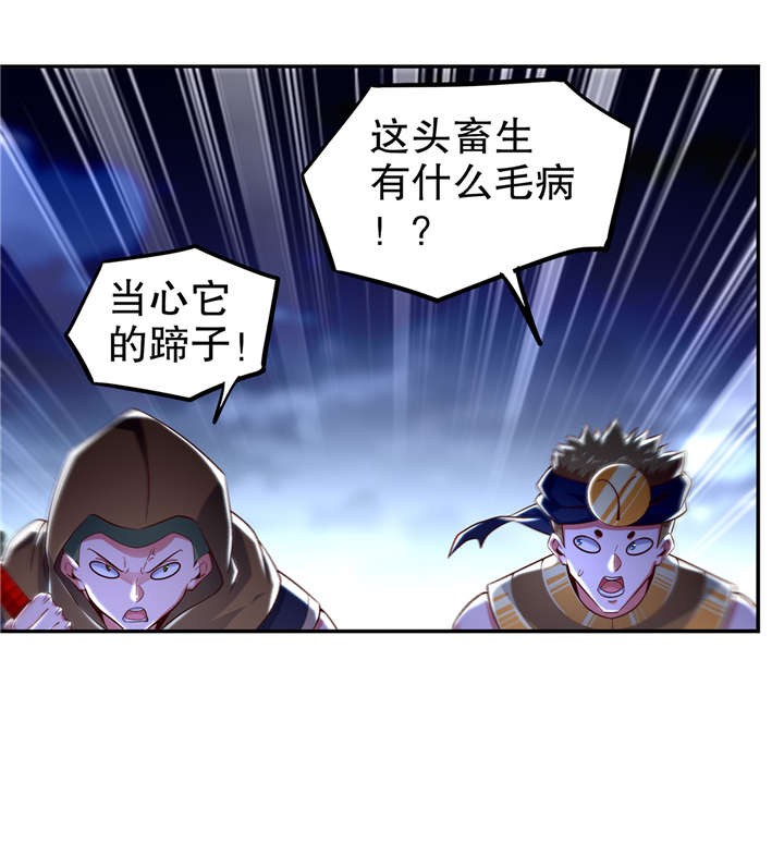 第63章：天马认主15