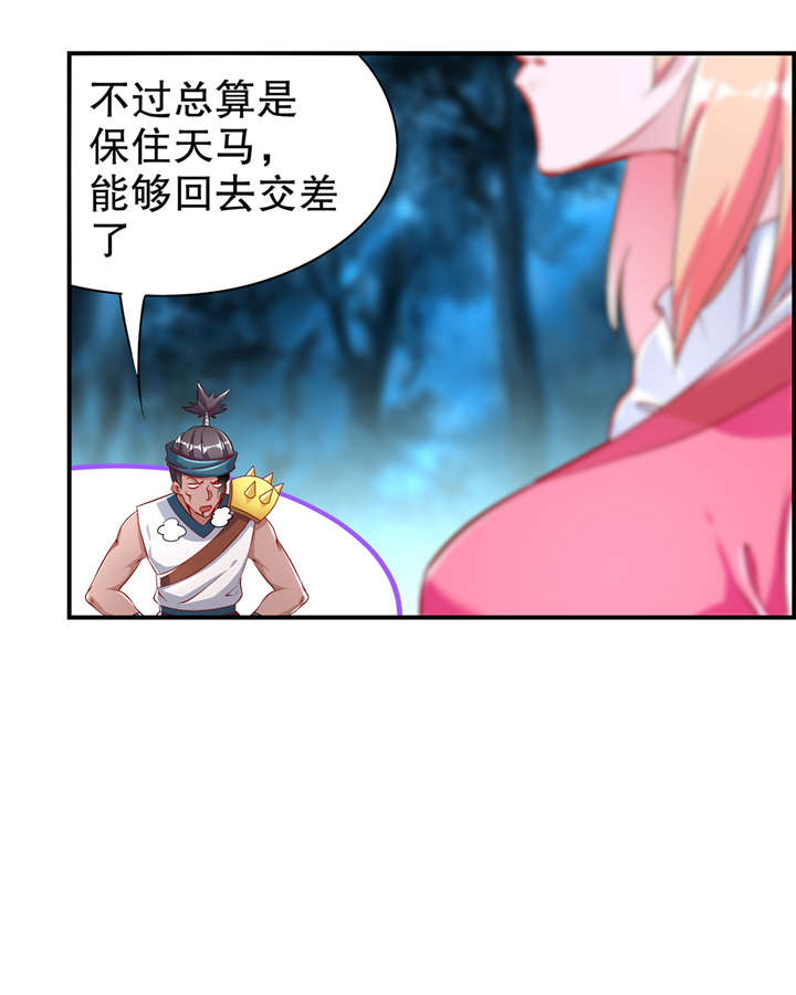 第63章：天马认主28