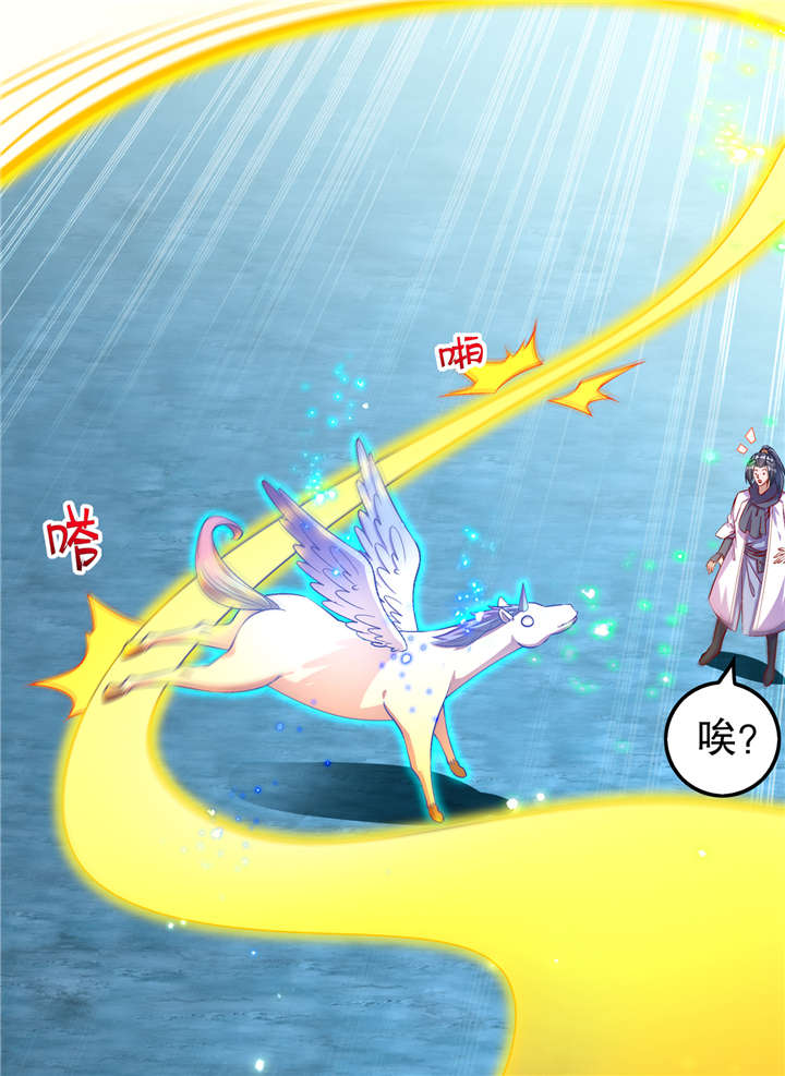 第63章：天马认主23
