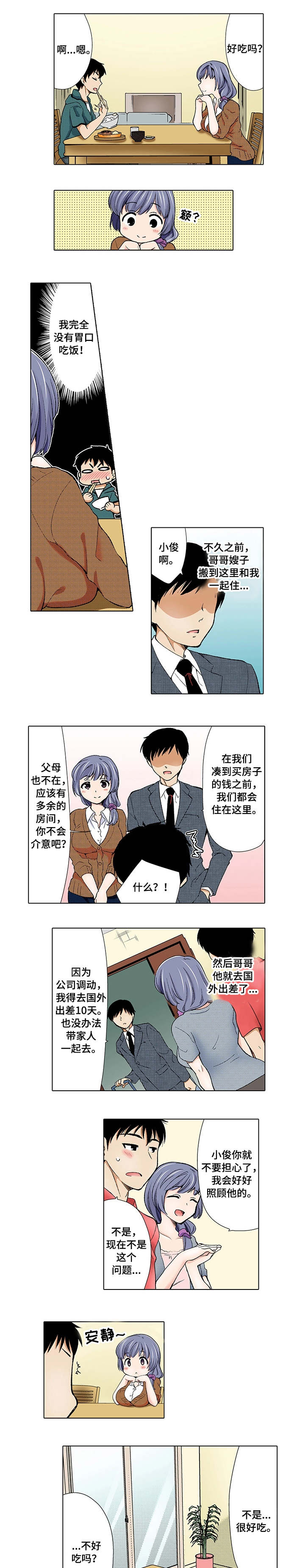第1章：嫂子1