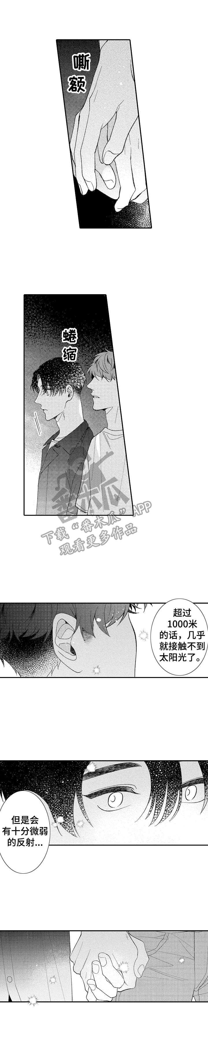 第31章：讨论0