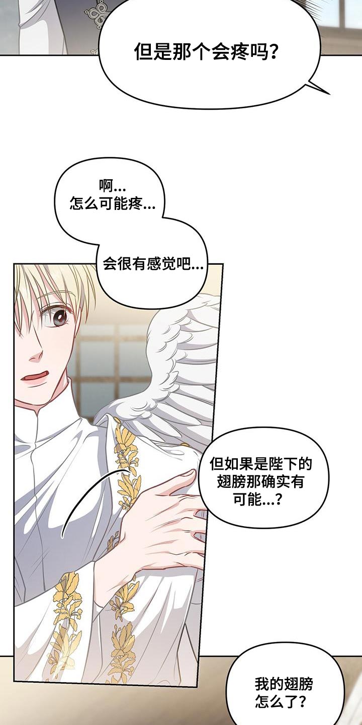 第50章：翅膀23