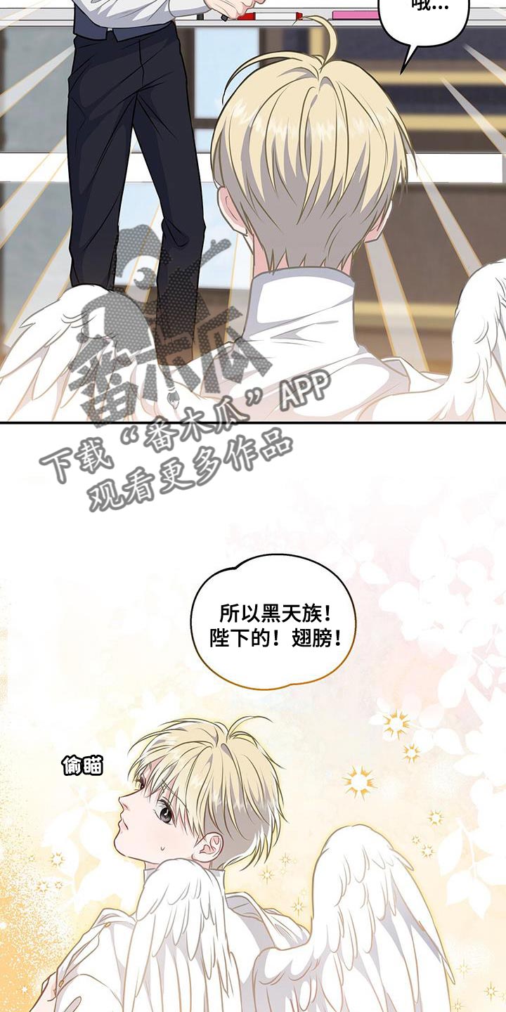 第50章：翅膀6