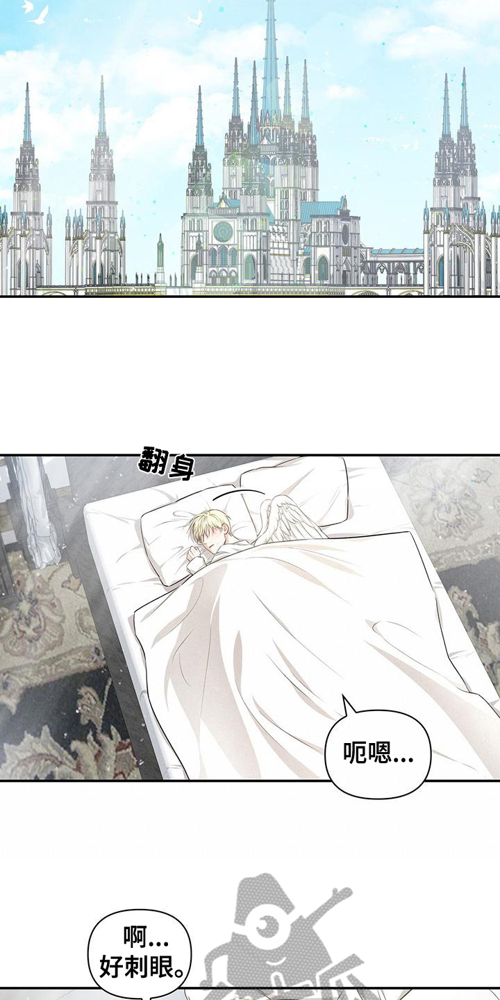 第29章：疑惑11