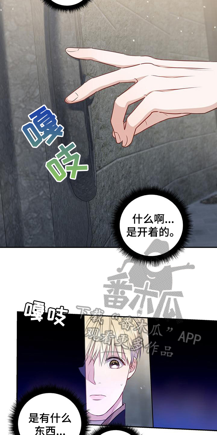第22章：偷药16