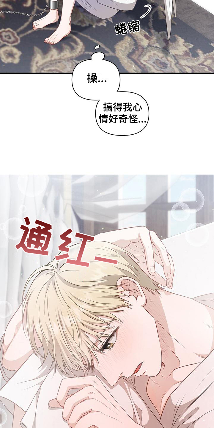 第15章：让人误会6