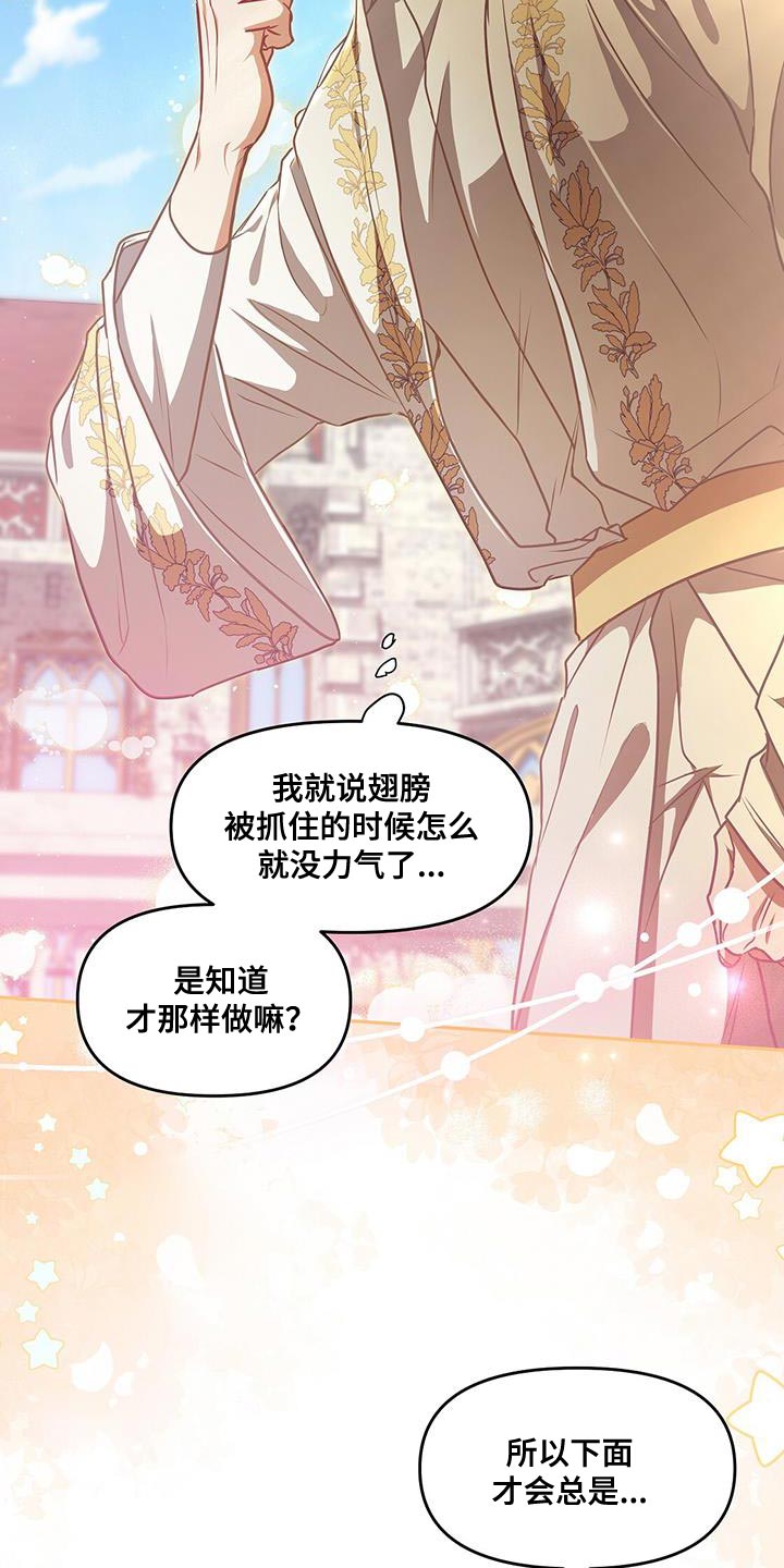 第50章：翅膀27