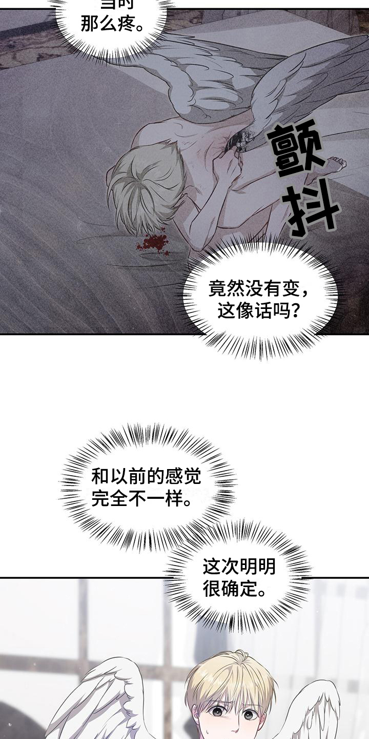 第29章：疑惑17