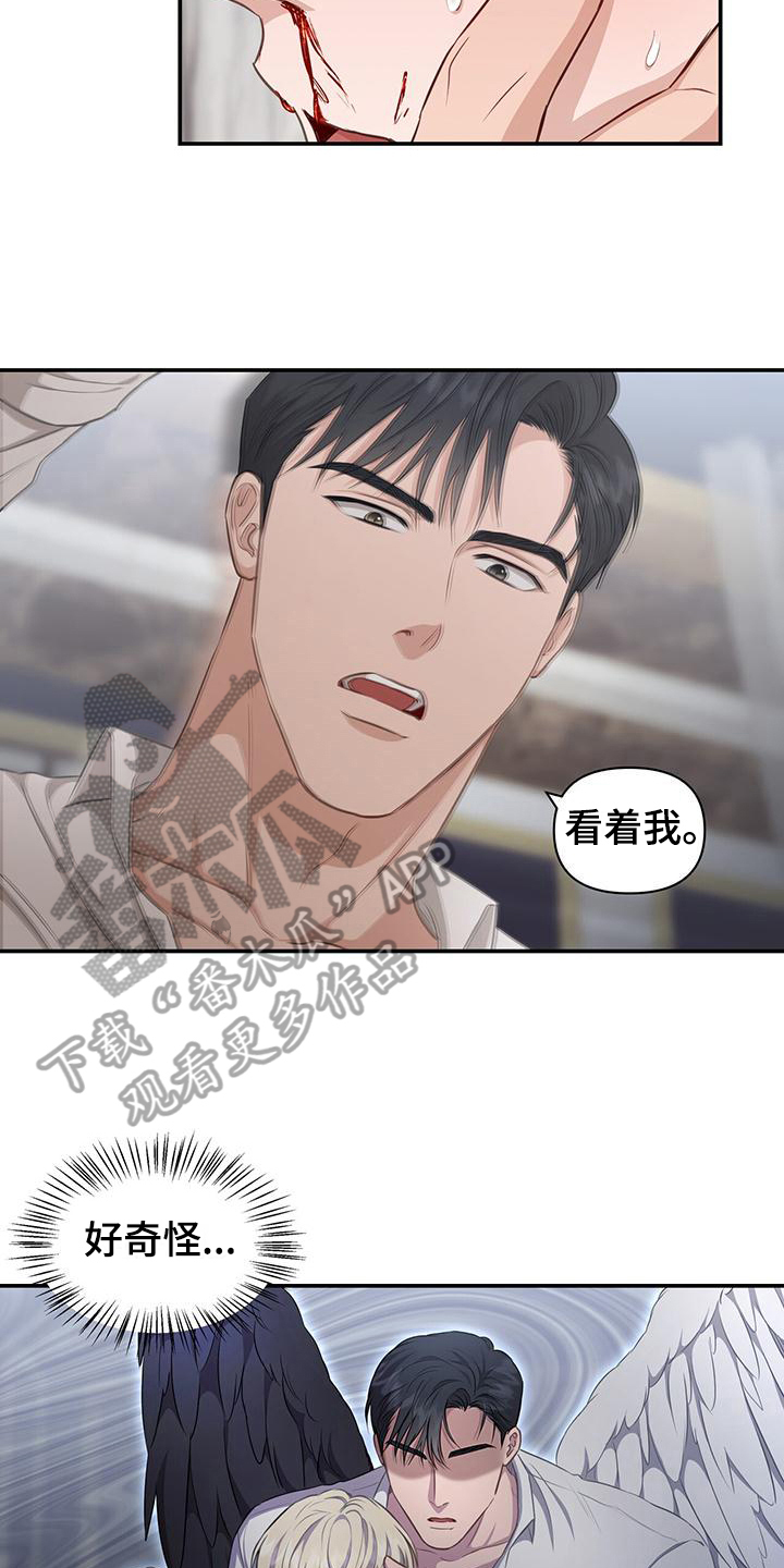 第28章：照顾7